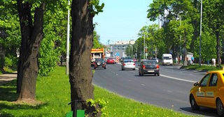 Посадка деревьев и кустарников в Чайковском — стоимость от 1215 руб.